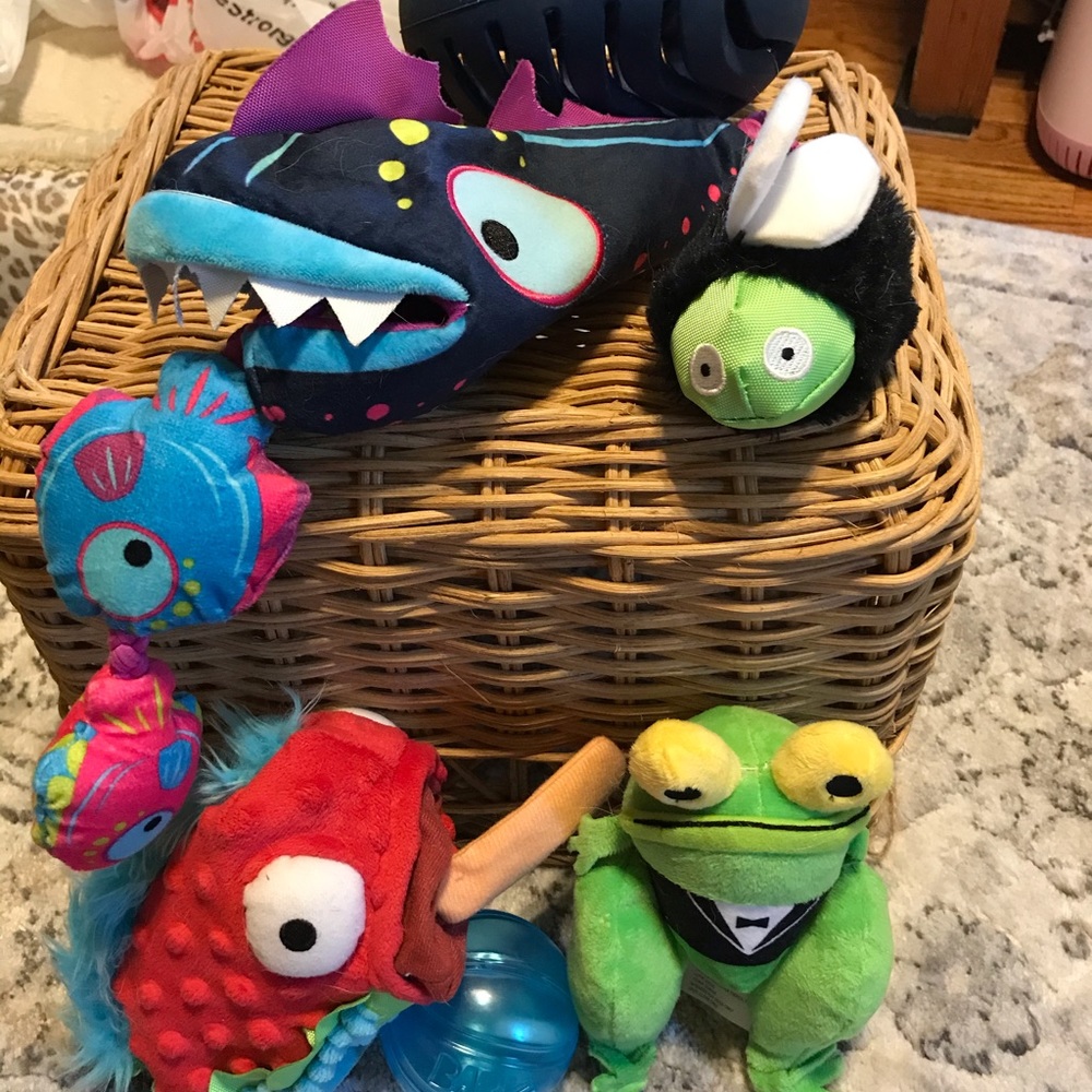 COPY - Bark Box Toys LOT
